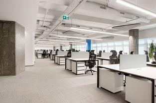 技術(shu)服務商務(wu)辦(ban)公室設(she)計(ji) 融合(he)專(zhuan)業(ye)與(yu)商務(wu)的服務空間營造